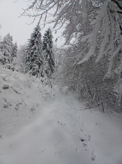 Fotografia z Daniel Kremiec na trase