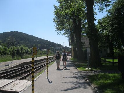 Babygrat, Steirerspur und Springlessteig