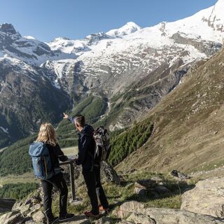 Gemsweg Saas-Fee