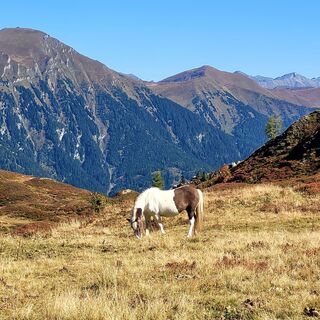 Foto de Brigitte Öttl a lo largo del recorrido