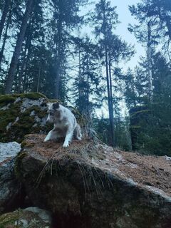 Zdjęcie z Andreas Holzknecht 2 wzdłuż trasy