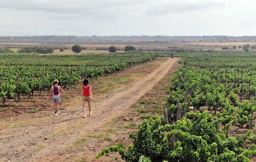Wanderung im Domaine de Maraval