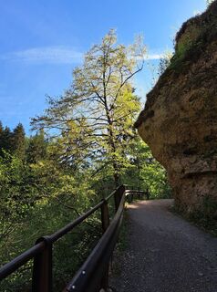 Photo de Egnerute le long du parcours