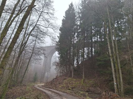 Foto von P C entlang der Tour