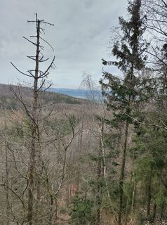 Foto de Januar Y a lo largo del recorrido