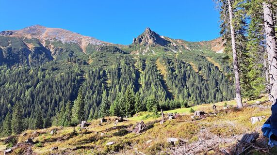 Photo de Anna Wilding le long du parcours