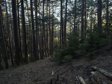 Фото с сайта enipeus 65 во время экскурсии