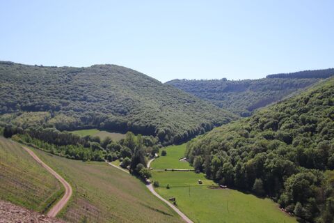 Zdjęcie z Günter Kleutsch wzdłuż trasy