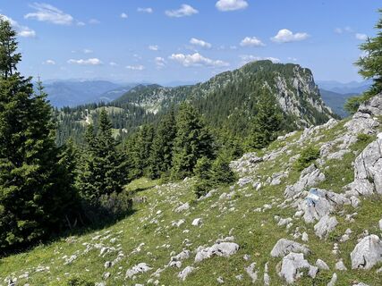 Fotografie z voeslauer na trase