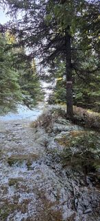 Foto van NiCi Hi langs de tour