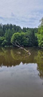 Foto da Alois-Gerhard Mairitsch lungo il tour