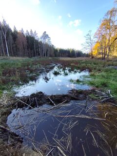 Photo de Klaus-Maus le long du parcours