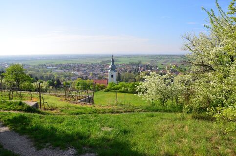 Ausblick vom Sonnenweg auf die Kirche Gainfarn