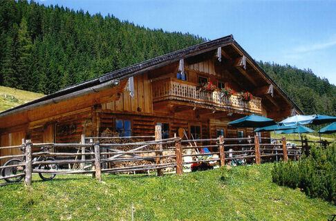 Steinalm