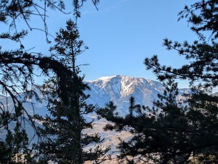 Puchberg am Schneeberg, Niederösterreich/Österreich