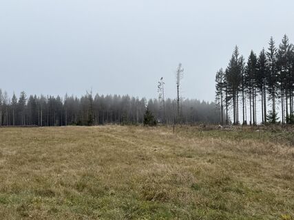 Foto von Norbert Herbig entlang der Tour