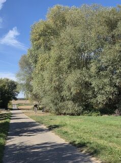 Foto von Willi007 entlang der Tour