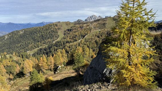 Photo de Brigitta Jencski le long du parcours