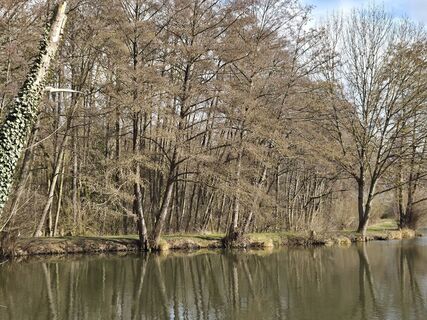 Fotografie z Christiane Schütz na trase