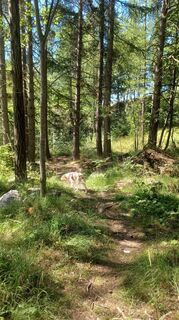 Foto de Frank #79 a lo largo del recorrido