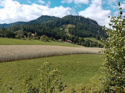 Fotografie z handshifter na trase