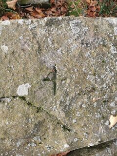 Photo de Michael Spranger le long du parcours