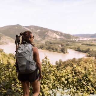 Blick auf Dürnstein