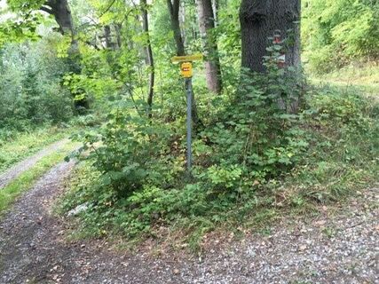 Wanderweg Nr. 30, Eichen und Eulen