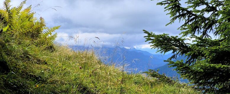 Fotografie de la Thomas Schekira de-a lungul turului