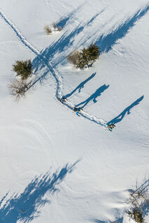 www.wisthaler.com - Harald Wisthaler