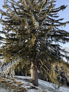 Foto de Dmitry Sotnikov a lo largo del recorrido