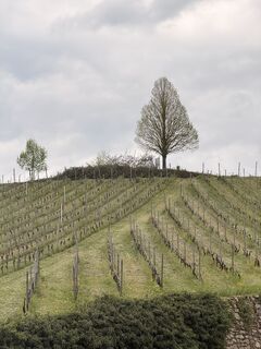 Foto de Erma a lo largo del recorrido