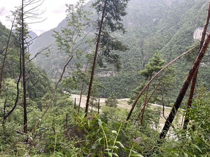 Foto de Stefan Otto a lo largo del recorrido