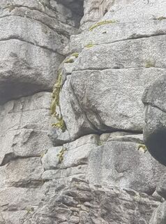 Foto von Rotti Horrolt entlang der Tour