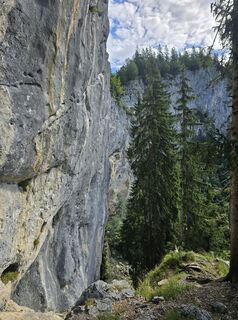 Photo de Domenic Beyrowski le long du parcours