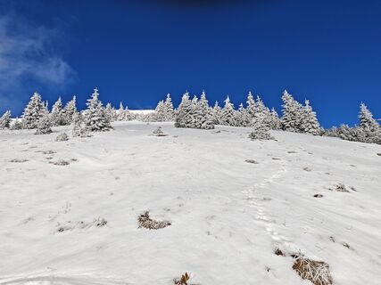 Fotografija s spletne strani gp1964 na poti
