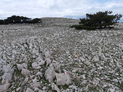Steinige Wege erfordern dauernde Konzentration