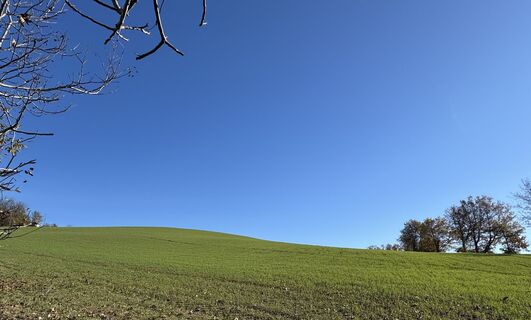 Foto von “Jerry” Brunetti entlang der Tour