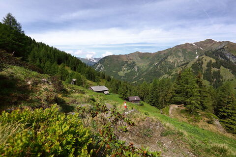 Karteisalm