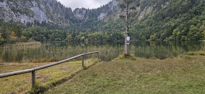 Foto de Berni_S a lo largo del recorrido