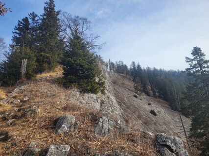 Zdjęcie z Birgit Zückert wzdłuż trasy