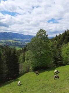 Foto von wanderheld_2468 entlang der Tour