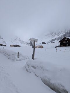 Fotografia z Elena 8 na trase