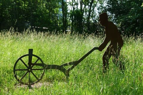 Am Rand des Wanderwegs "Nach der Schicht"