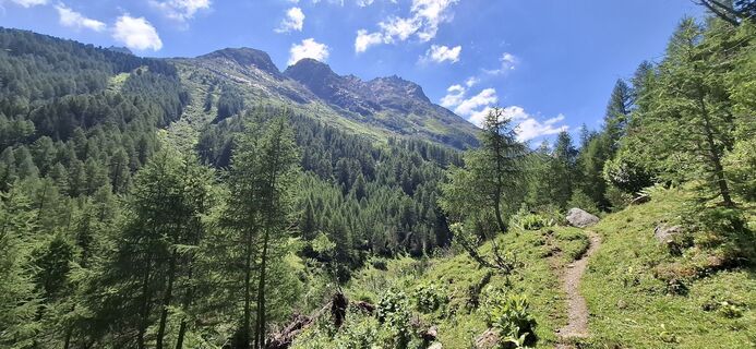 Fotografija s spletne strani David Bubenheim na poti