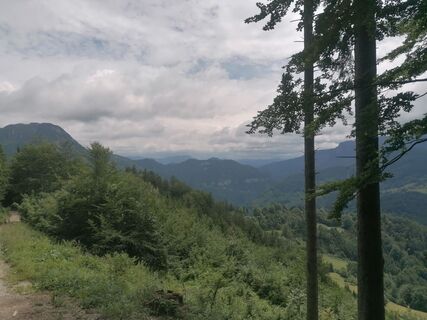 Foto von Viktoria Ellinger entlang der Tour