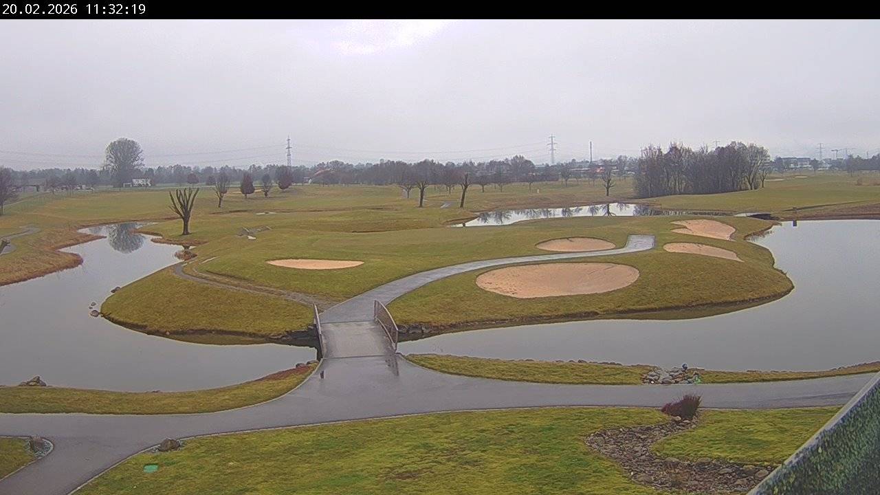 14021_2026-02-20_1130_688d47e0ed941b8b.j